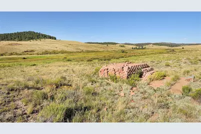 1245 Badger Creek Road, Hartsel, CO 80449 - Photo 27