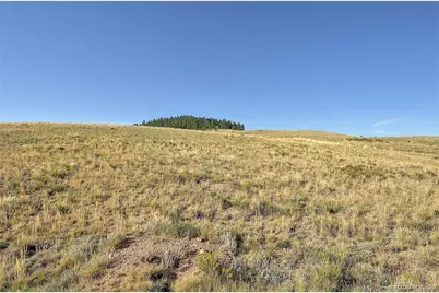 1245 Badger Creek Road, Hartsel, CO 80449 - Photo 9