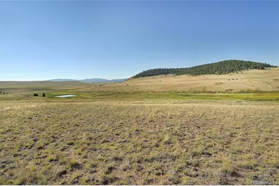 1245 Badger Creek Road, Hartsel, CO 80449 - Photo 21