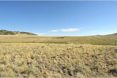 1245 Badger Creek Road, Hartsel, CO 80449 - Photo 5