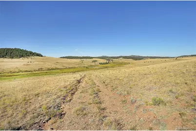 1245 Badger Creek Road, Hartsel, CO 80449 - Photo 25