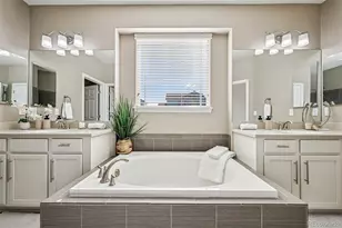 13071 Coffee Tree St, Parker, CO 80134 - Photo 27