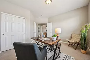 13071 Coffee Tree St, Parker, CO 80134 - Photo 21