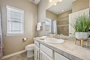 13071 Coffee Tree St, Parker, CO 80134 - Photo 31