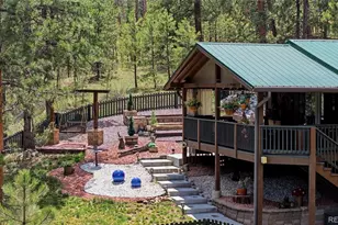 102 Insmont Dr, Bailey, CO 80421 - Photo 1