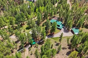 102 Insmont Dr, Bailey, CO 80421 - Photo 43
