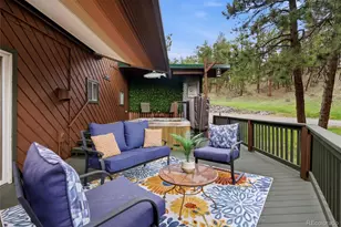102 Insmont Dr, Bailey, CO 80421 - Photo 27