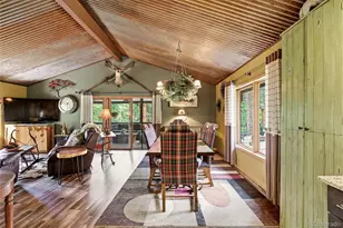 102 Insmont Dr, Bailey, CO 80421 - Photo 9