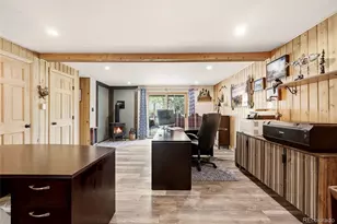 102 Insmont Dr, Bailey, CO 80421 - Photo 13