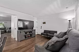 1146 Cherry Blossom Ct, Highlands Ranch, CO 80126 - Photo 11