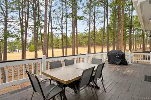 18520 Thunderbird Trail, Monument, CO 80132 - Photo 33