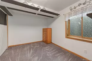 437 McShane Pl, Monument, CO 80132 - Photo 31