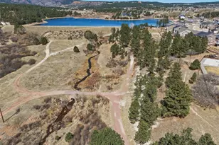 437 McShane Pl, Monument, CO 80132 - Photo 39