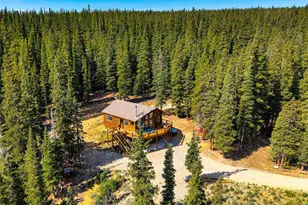 85 Bum Dr, Fairplay, CO 80440 - Photo 5