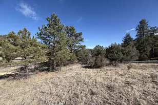 000 Canyon Rd, Cotopaxi, CO 81223 - Photo 1