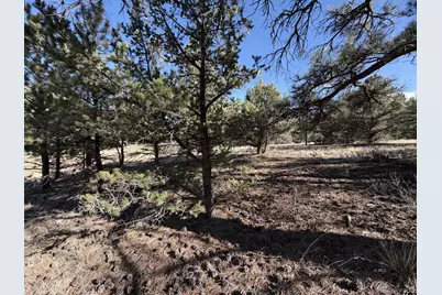 000 Canyon Road, Cotopaxi, CO 81223 - Photo 7