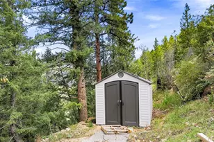 812 Soda Creek Rd, Idaho Springs, CO 80452 - Photo 29