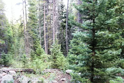 00 Gamble Gulch, Black Hawk, CO 80422 - Photo 9