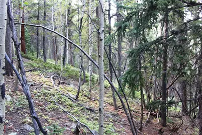 00 Gamble Gulch, Black Hawk, CO 80422 - Photo 13