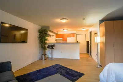 1196 N Grant Street #113, Denver, CO 80203 - Photo 3