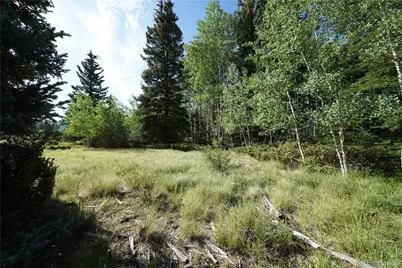 42 W Peregrine, Antonito, CO 81120 - Photo 11