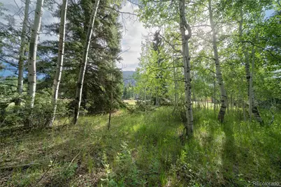 42 W Peregrine, Antonito, CO 81120 - Photo 9