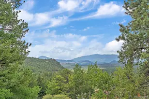 51 Cedar Ln, Bailey, CO 80421 - Photo 33