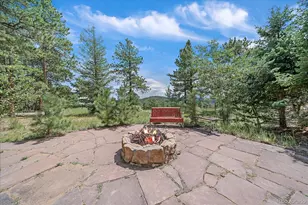 51 Cedar Ln, Bailey, CO 80421 - Photo 47