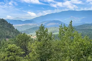 51 Cedar Ln, Bailey, CO 80421 - Photo 35