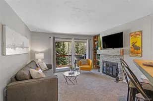 550 S French St, Breckenridge, CO 80424 - Photo 11