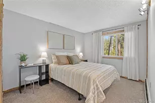550 S French St, Breckenridge, CO 80424 - Photo 5