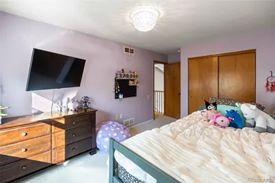 3164 White Oak Street, Highlands Ranch, CO 80129 - Photo 33