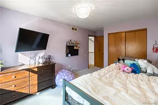 3164 White Oak St, Highlands Ranch, CO 80129 - Photo 33