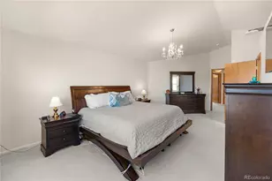 3164 White Oak St, Highlands Ranch, CO 80129 - Photo 35