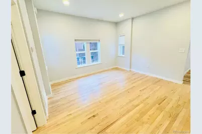1107 N Downing Street, Denver, CO 80218 - Photo 9