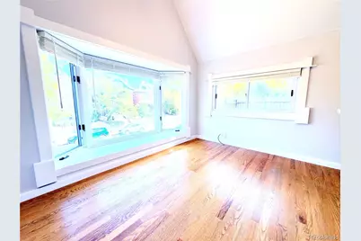 1107 N Downing Street, Denver, CO 80218 - Photo 23