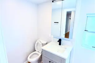 1107 N Downing St, Denver, CO 80218 - Photo 37