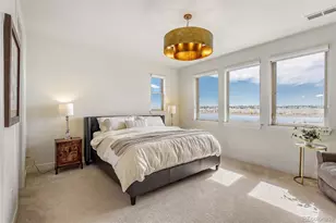 29 Wild Plum Ln, Columbine Valley, CO 80123 - Photo 15