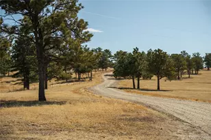 24063 Cr 122, Ramah, CO 80832 - Photo 47