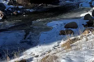 801 Quail Dr, Fraser, CO 80442 - Photo 9