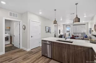 20 Wilcox Street, Castle Rock, CO 80104 - Photo 11