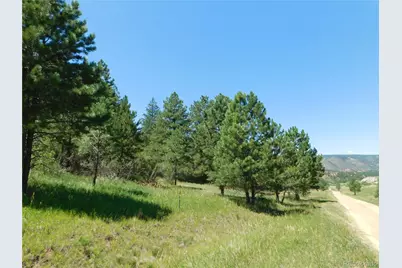 4668 Comanche Drive, Larkspur, CO 80118 - Photo 37