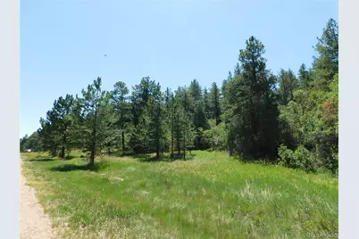 4668 Comanche Drive, Larkspur, CO 80118 - Photo 23