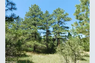 4668 Comanche Drive, Larkspur, CO 80118 - Photo 33