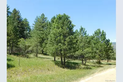 4668 Comanche Drive, Larkspur, CO 80118 - Photo 39