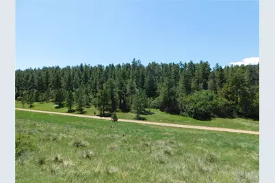 4668 Comanche Drive, Larkspur, CO 80118 - Photo 19
