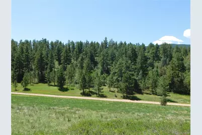 4668 Comanche Drive, Larkspur, CO 80118 - Photo 13