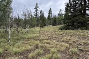 383 Spearpoint Rd, Como, CO 80456 - Photo 1
