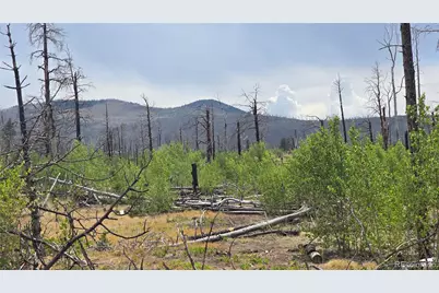 Lot 1177 Bechtel Place, Fort Garland, CO 81133 - Photo 17