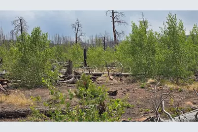 Lot 1177 Bechtel Place, Fort Garland, CO 81133 - Photo 13